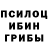 Галлюциногенные грибы Psilocybine cubensis Ninel Askorbinka