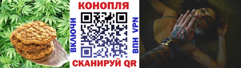 даркнет сайт дарк нет телеграм Cannafood конопля Карасук