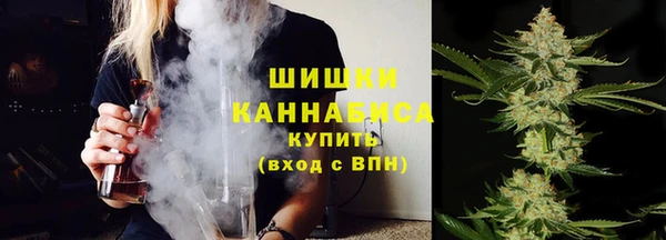 МДПВ Нефтегорск