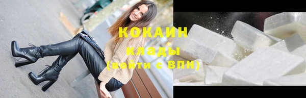 МДПВ Нефтегорск