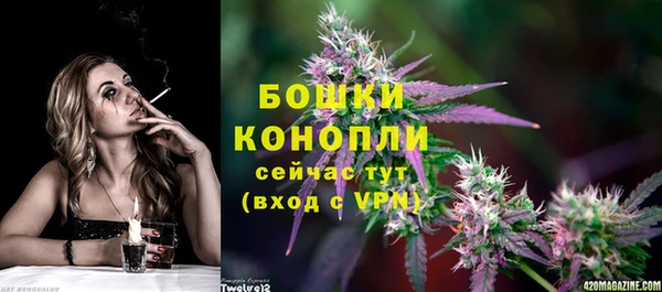 МДПВ Нефтегорск