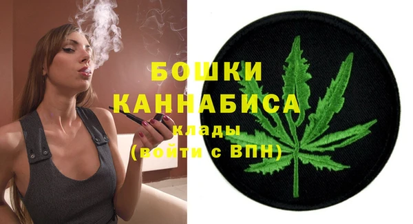 гидра Нея