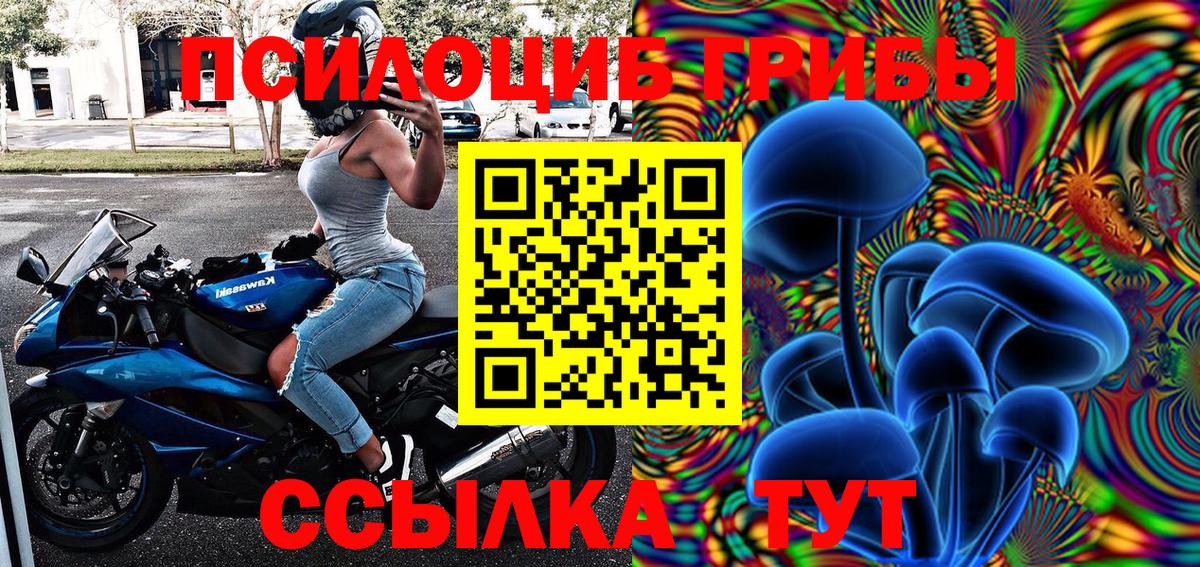 Галлюциногенные грибы Magic Shrooms  Галлюциногенные грибы GOLDEN TEACHER  Вход с VPN  Карасук 